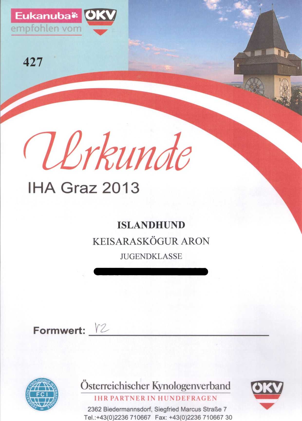 Urkunde IHA Graz 2013