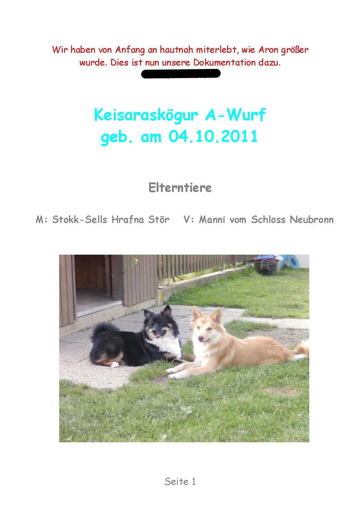 A-Wurf – Bild 1