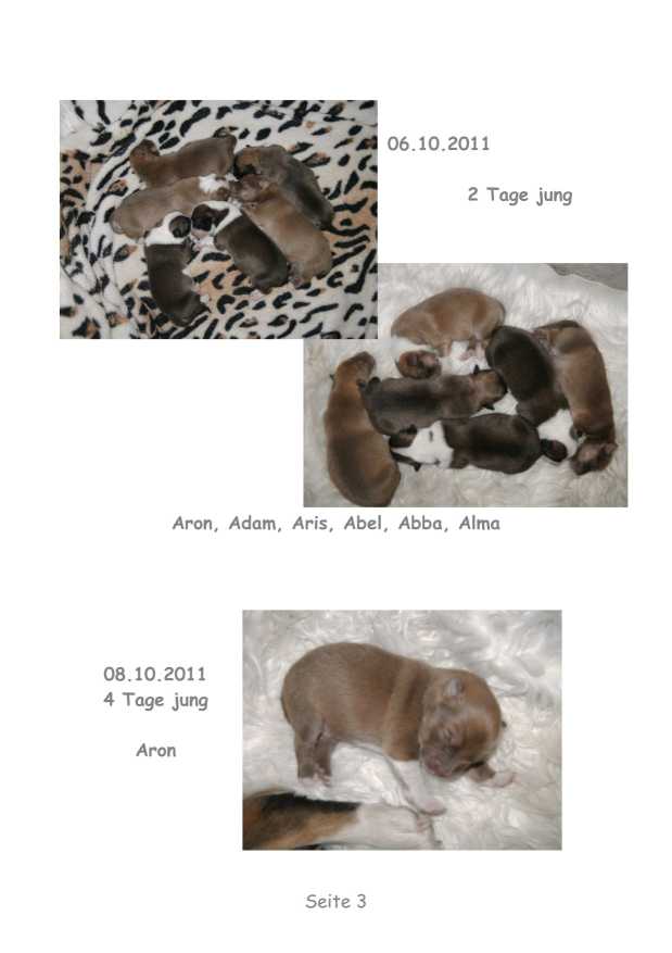 A-Wurf – Bild 3