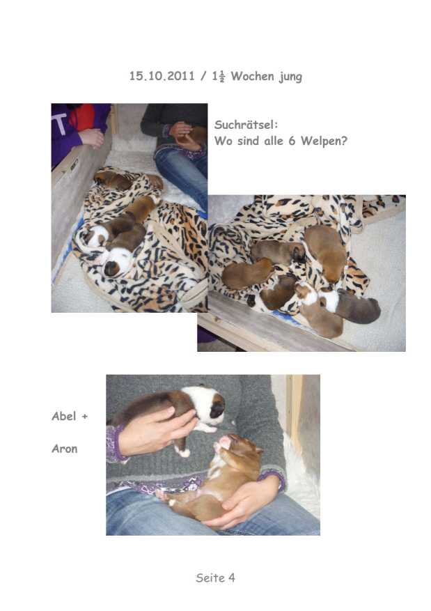 A-Wurf – Bild 4