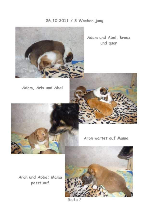 A-Wurf – Bild 7