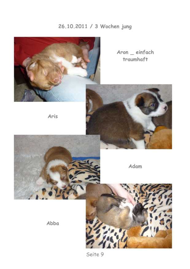 A-Wurf – Bild 9