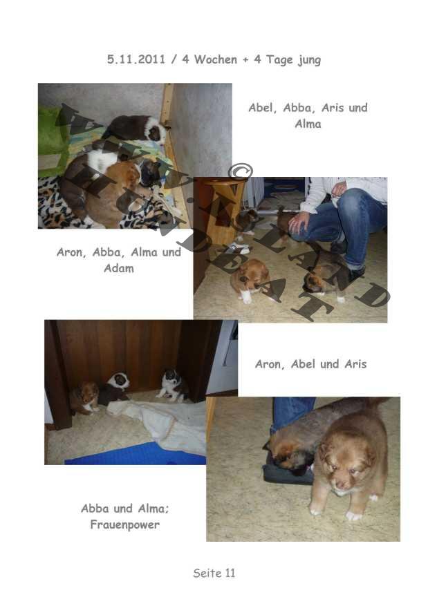 A-Wurf – Bild 11