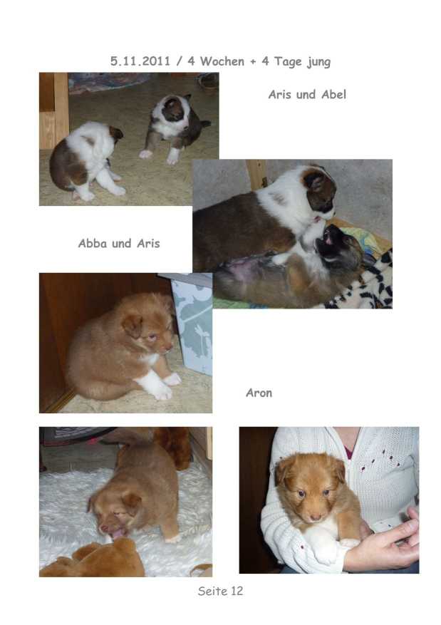A-Wurf – Bild 12