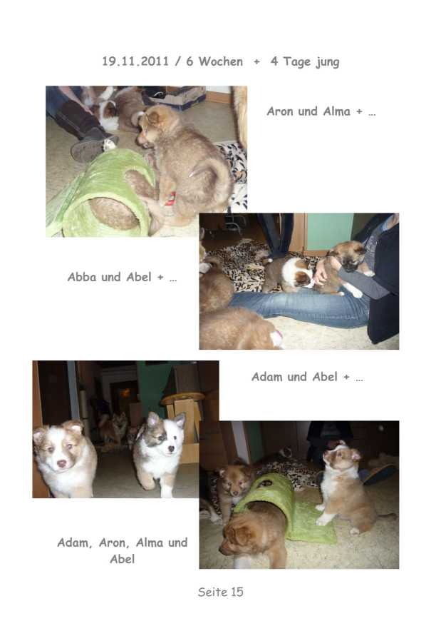 A-Wurf – Bild 15