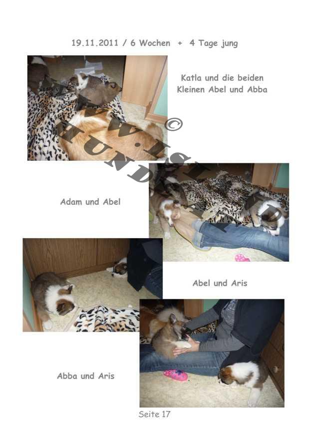 A-Wurf – Bild 17