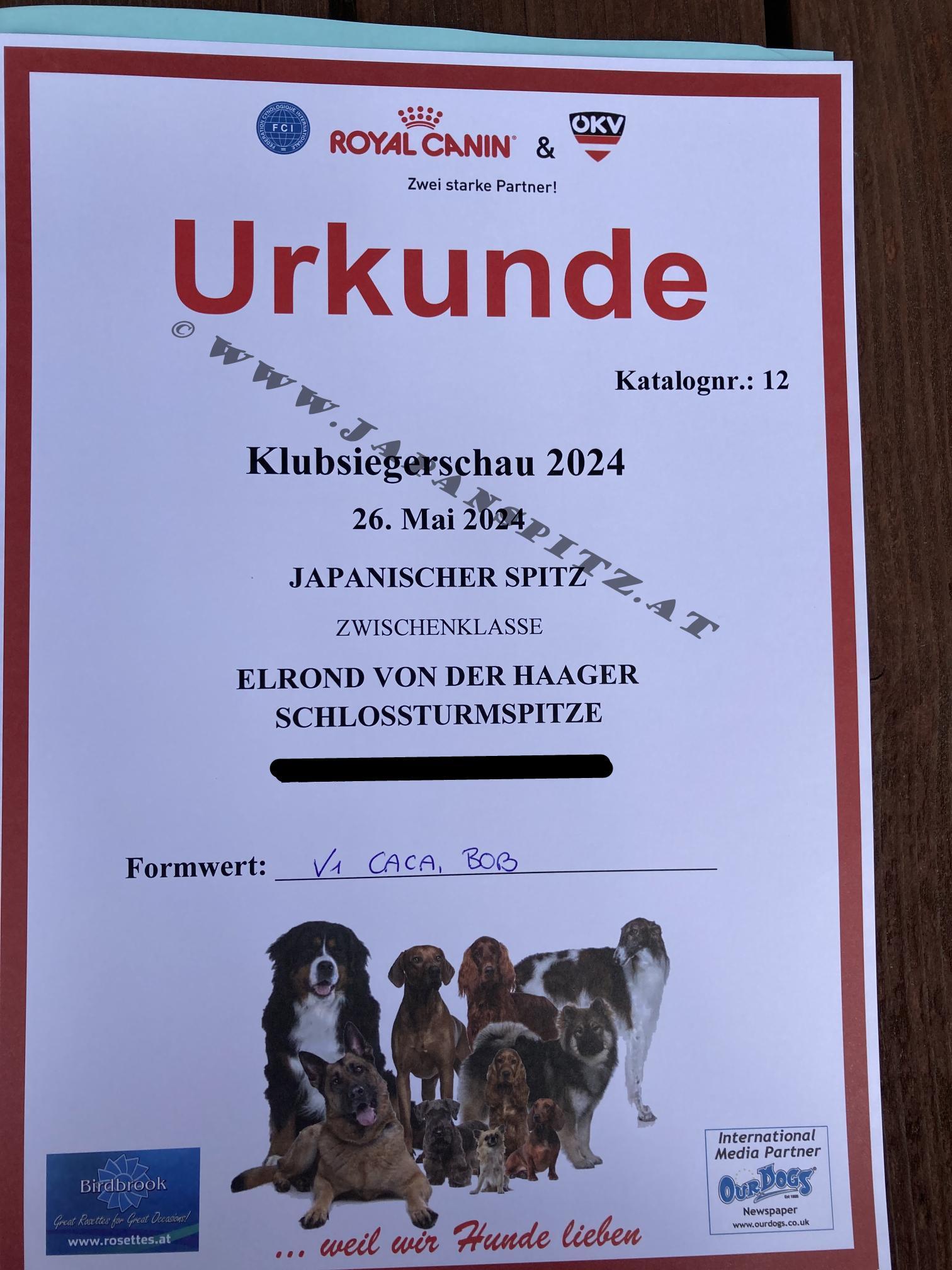 Klubsiegerschau,  Mai 2024