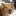 Logo Aron
